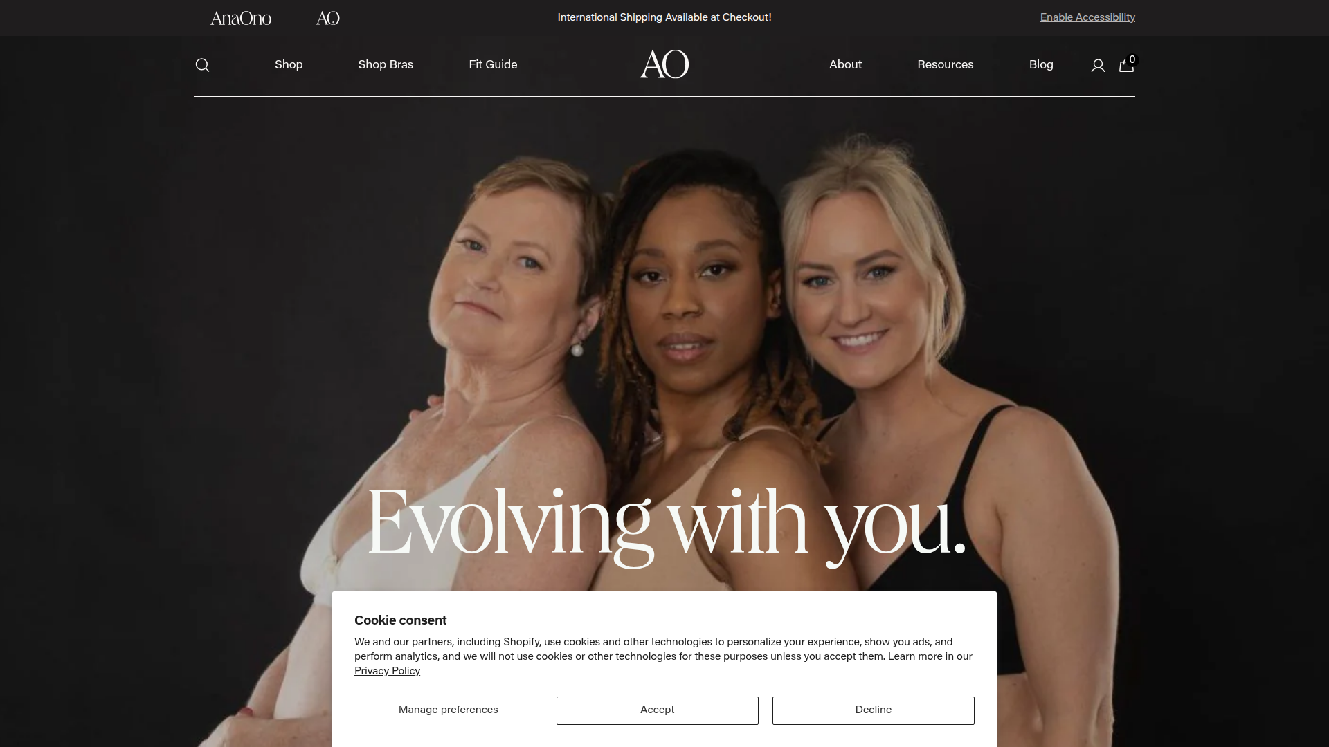 AnaOno website