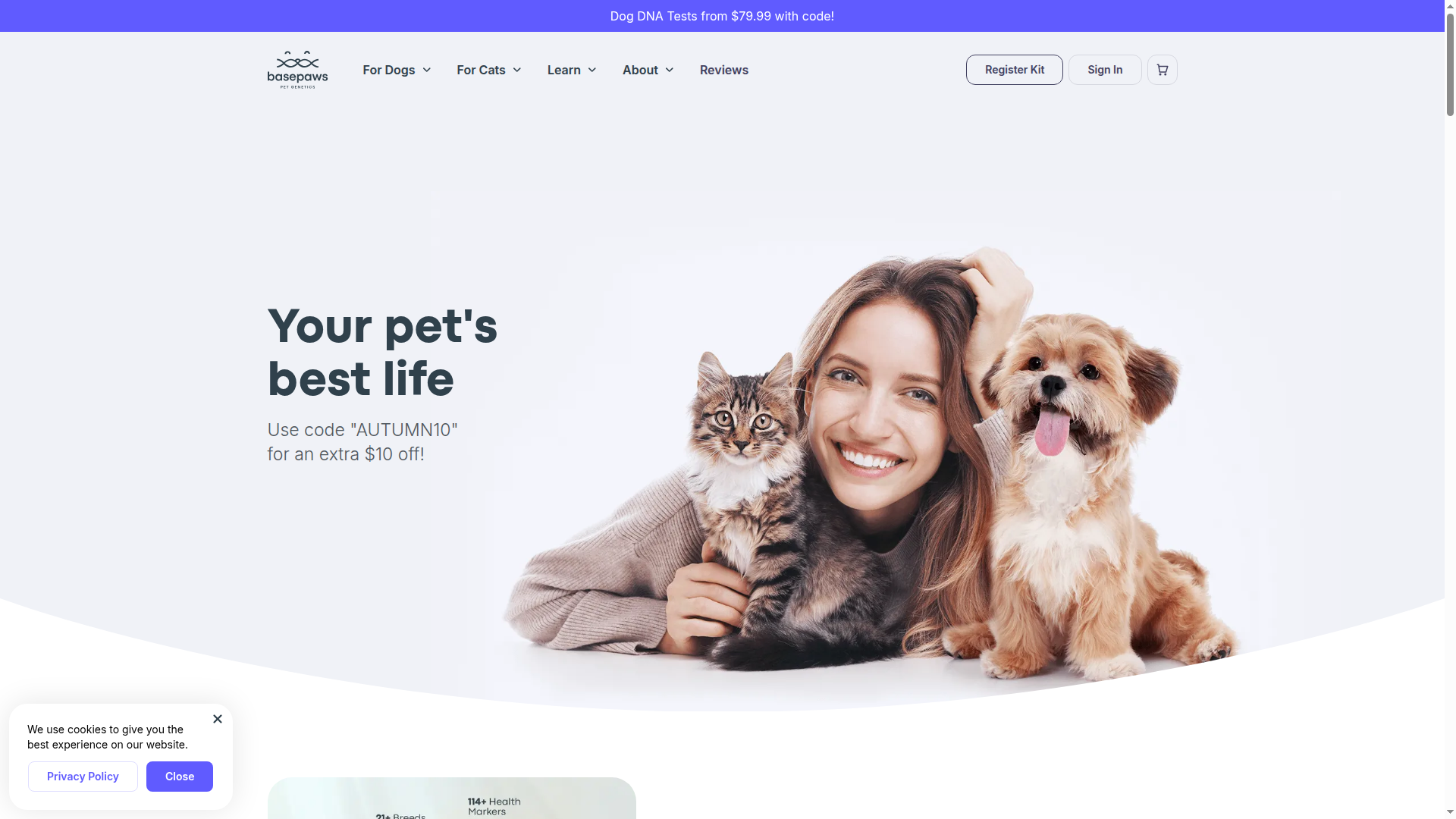 Basepaws website
