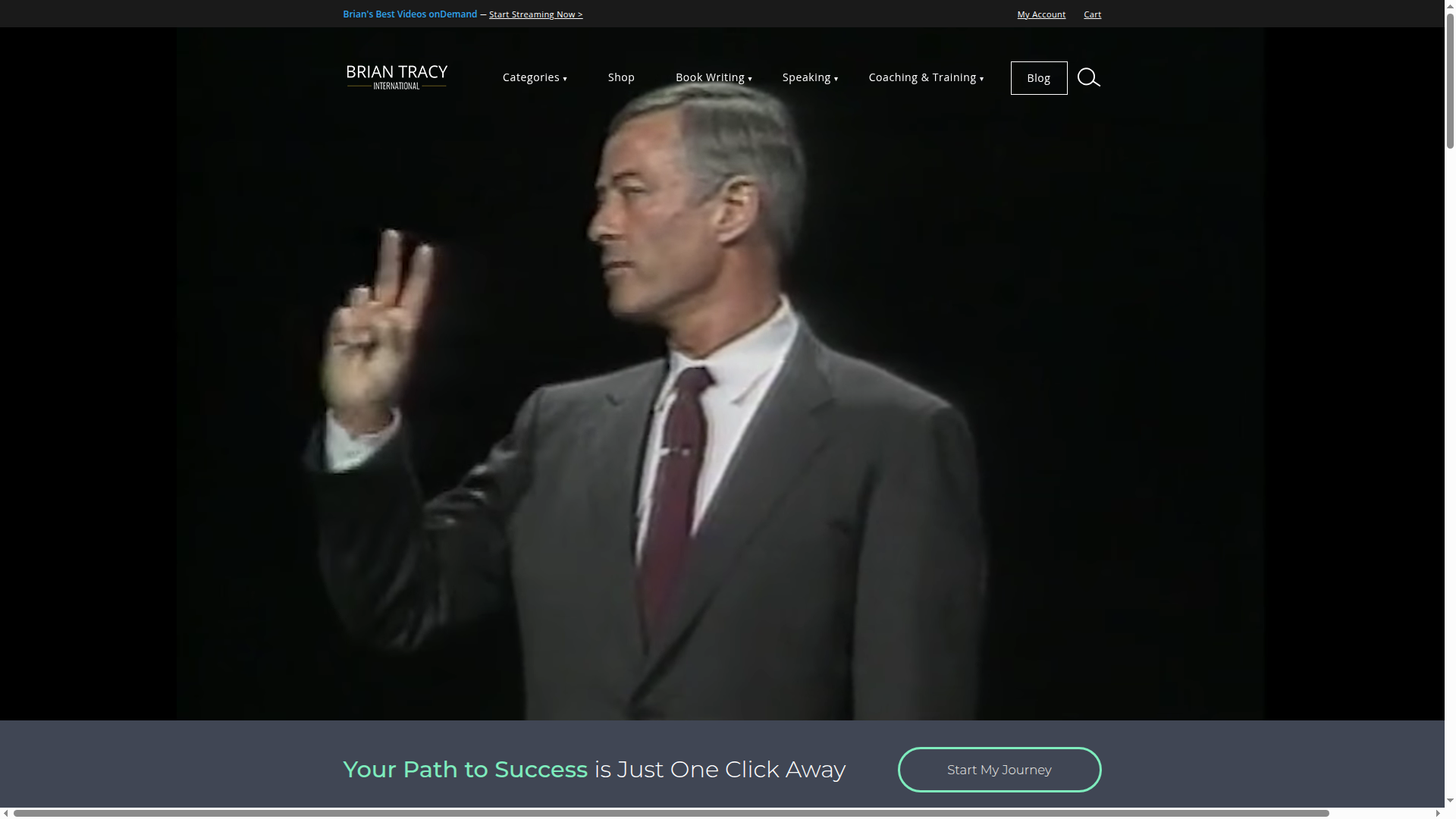 briantracy website