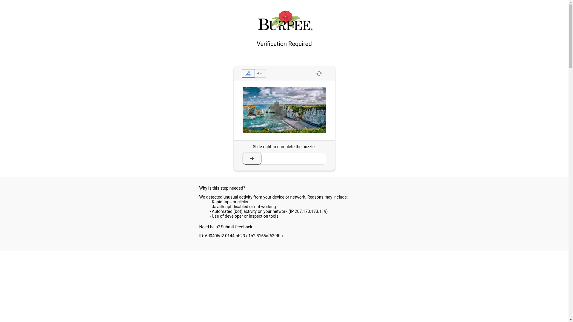 Burpee website
