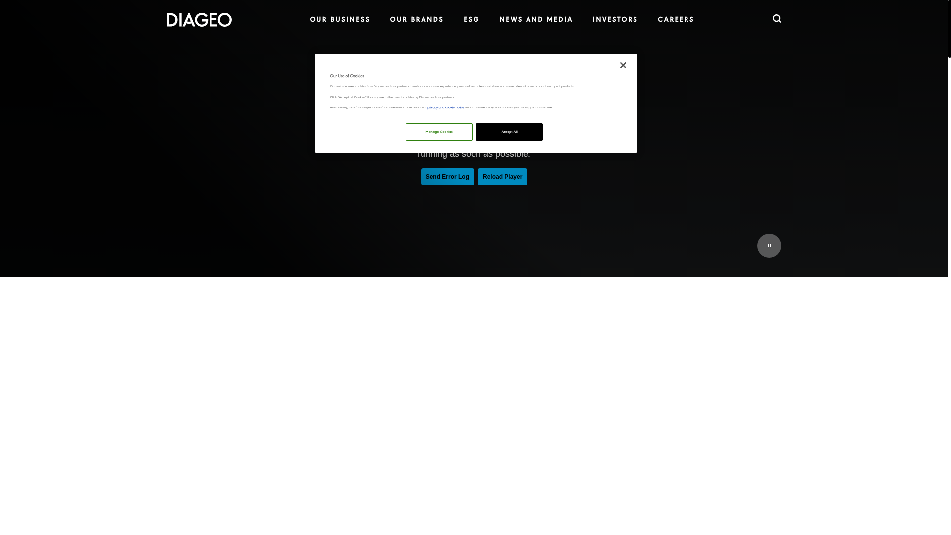 Diageo website