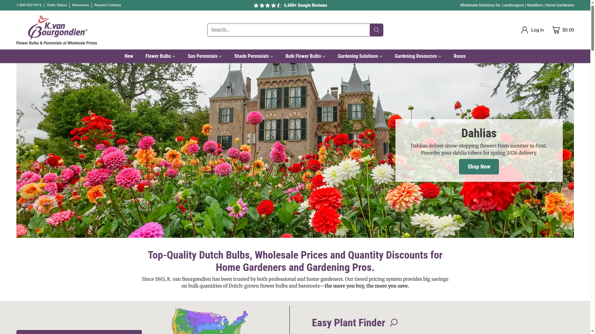 dutchbulbs.com website