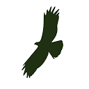 Eagle Creek logo