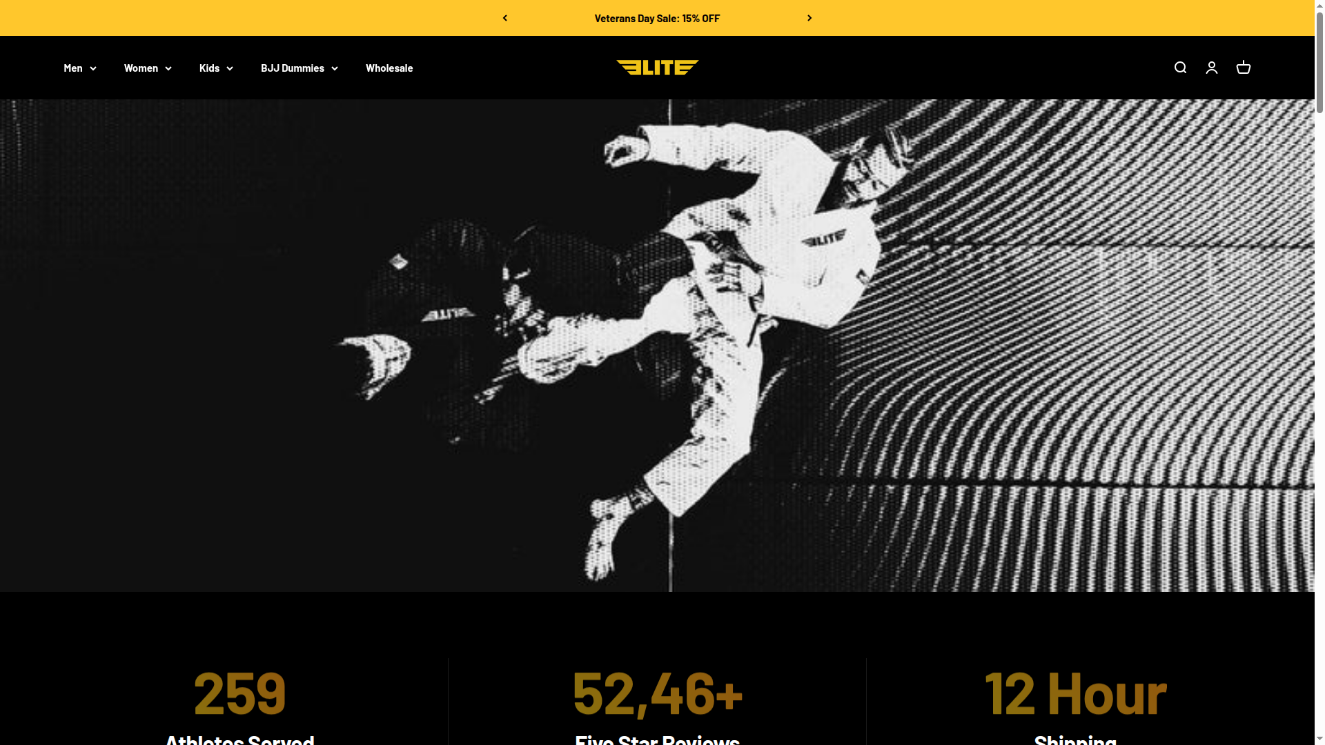 Elite Sports website