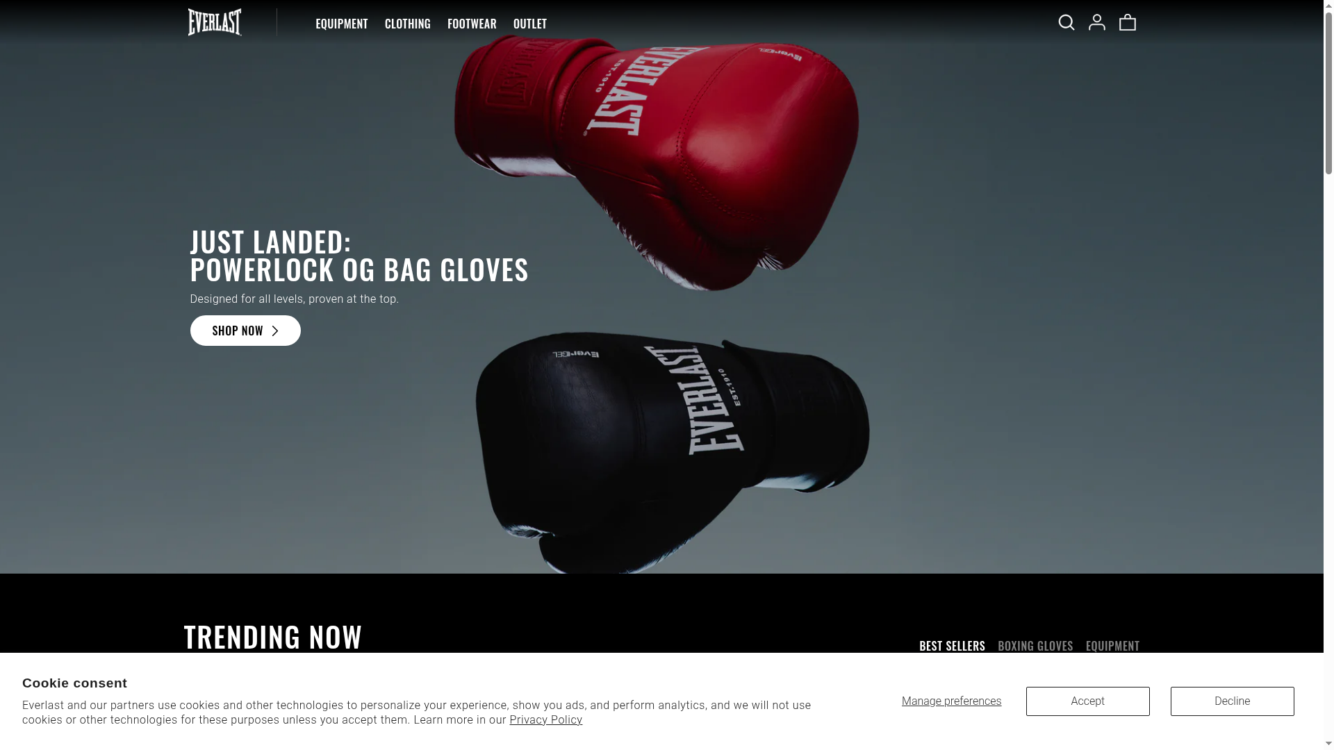 Everlast website