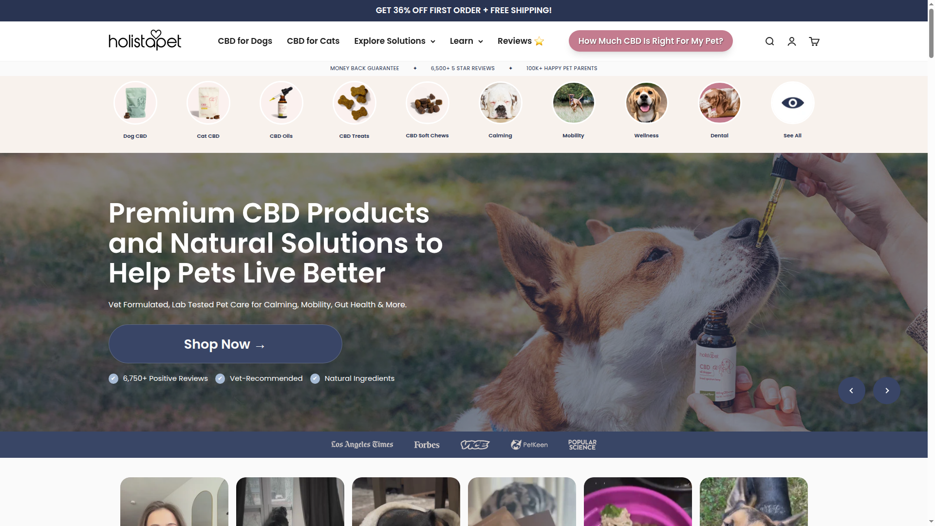 HolistaPet.com website