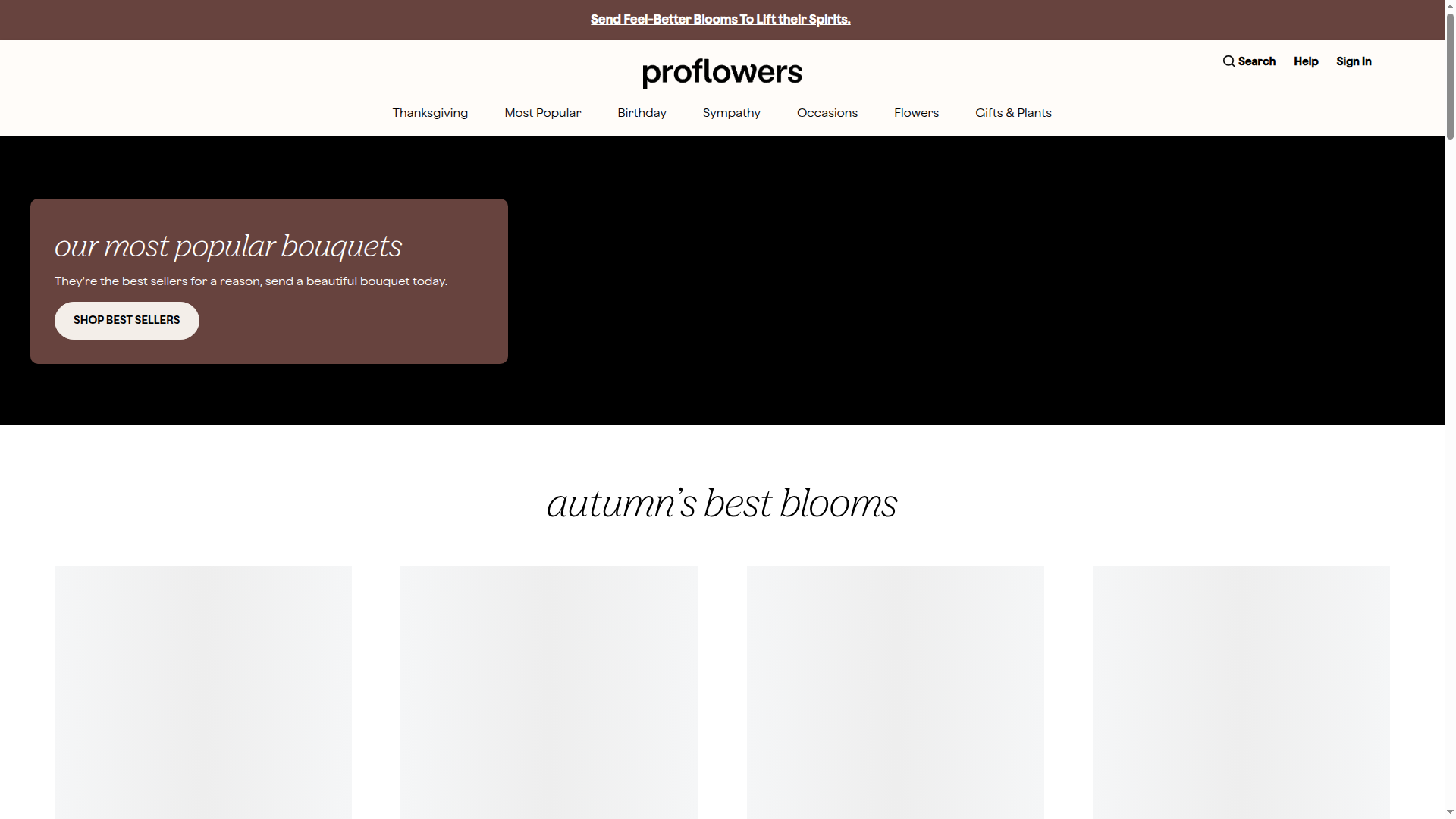 Proflowers website