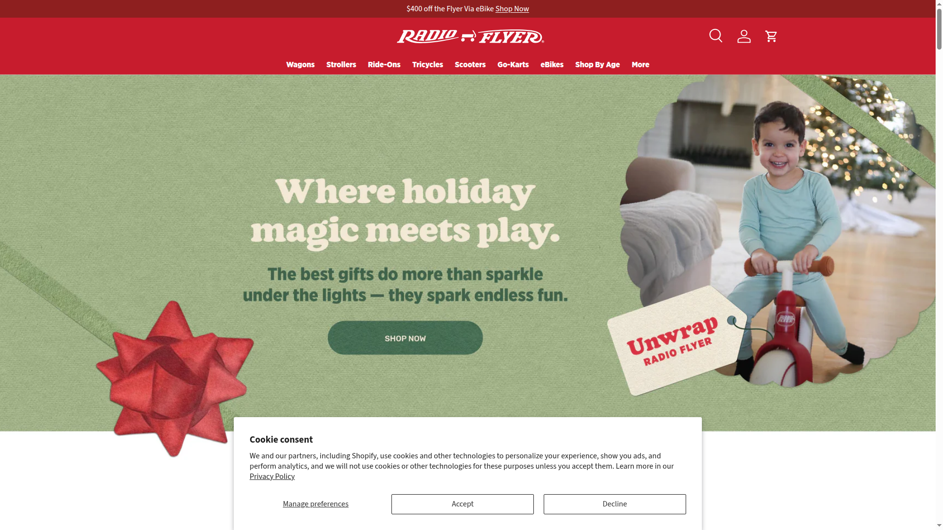 Flyer™ Electric Bikes website