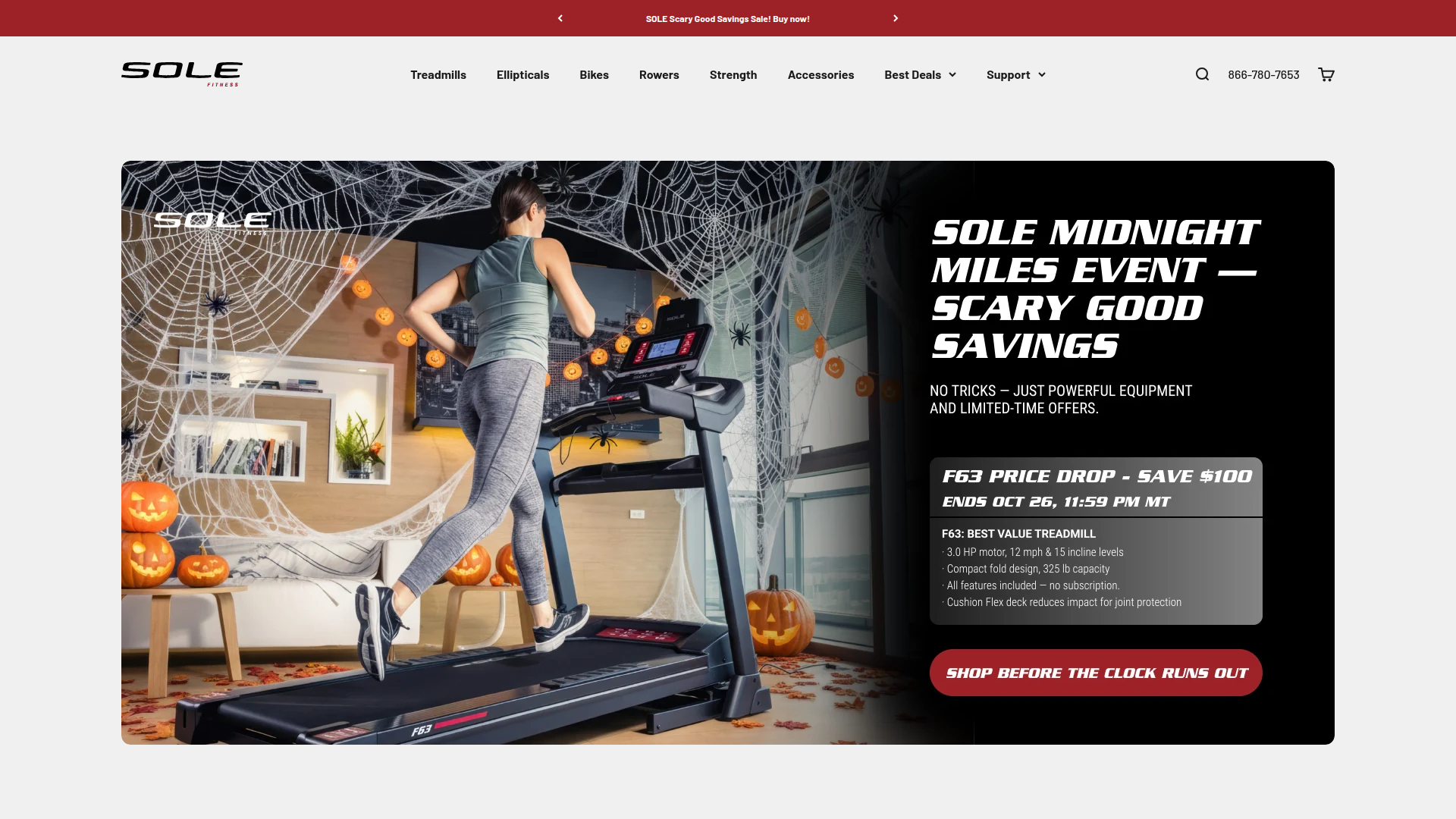 Sole Fitness website