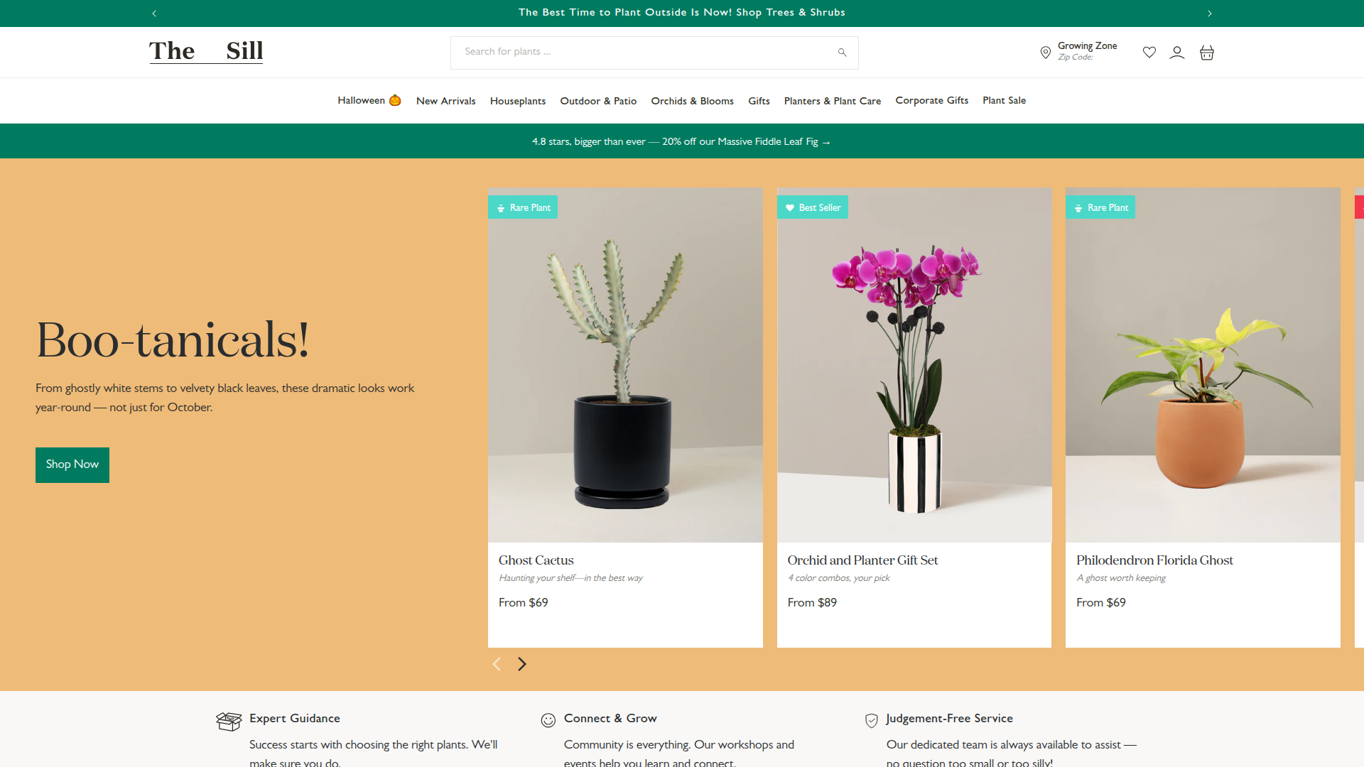 The Sill website