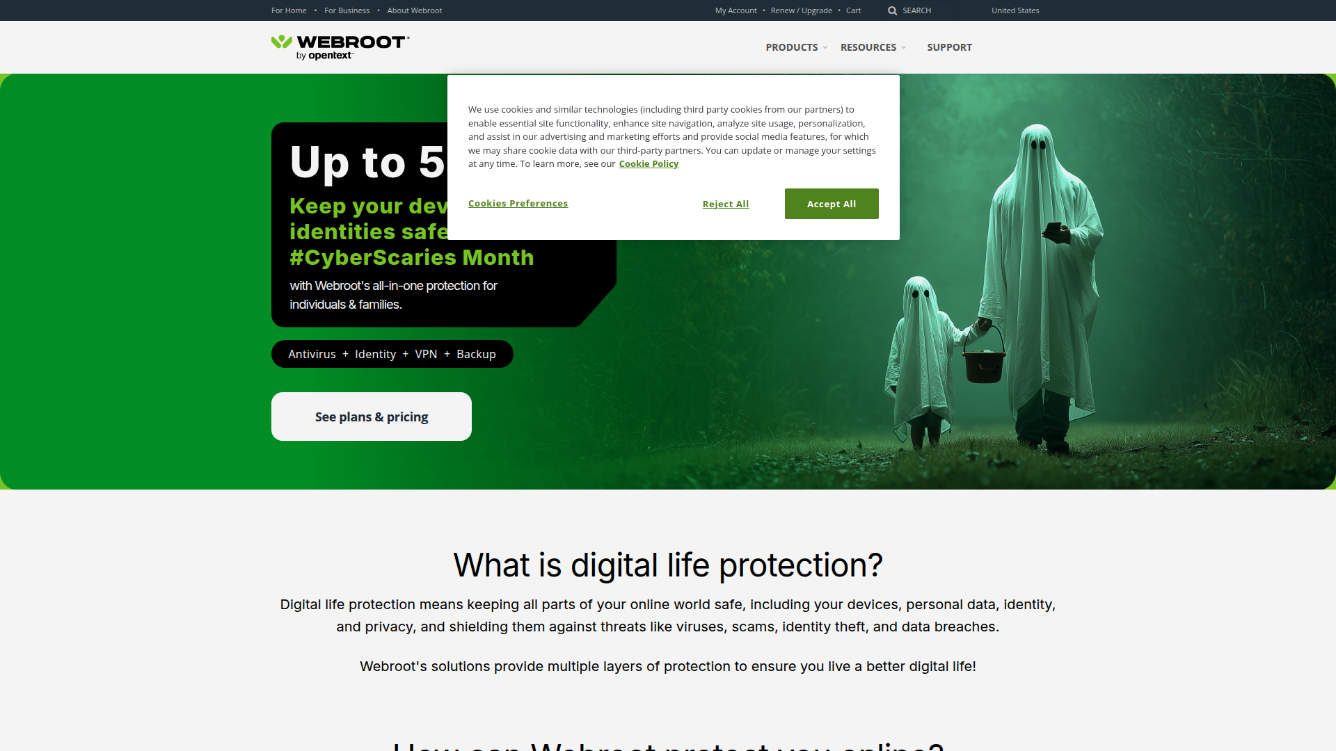 Webroot Software website