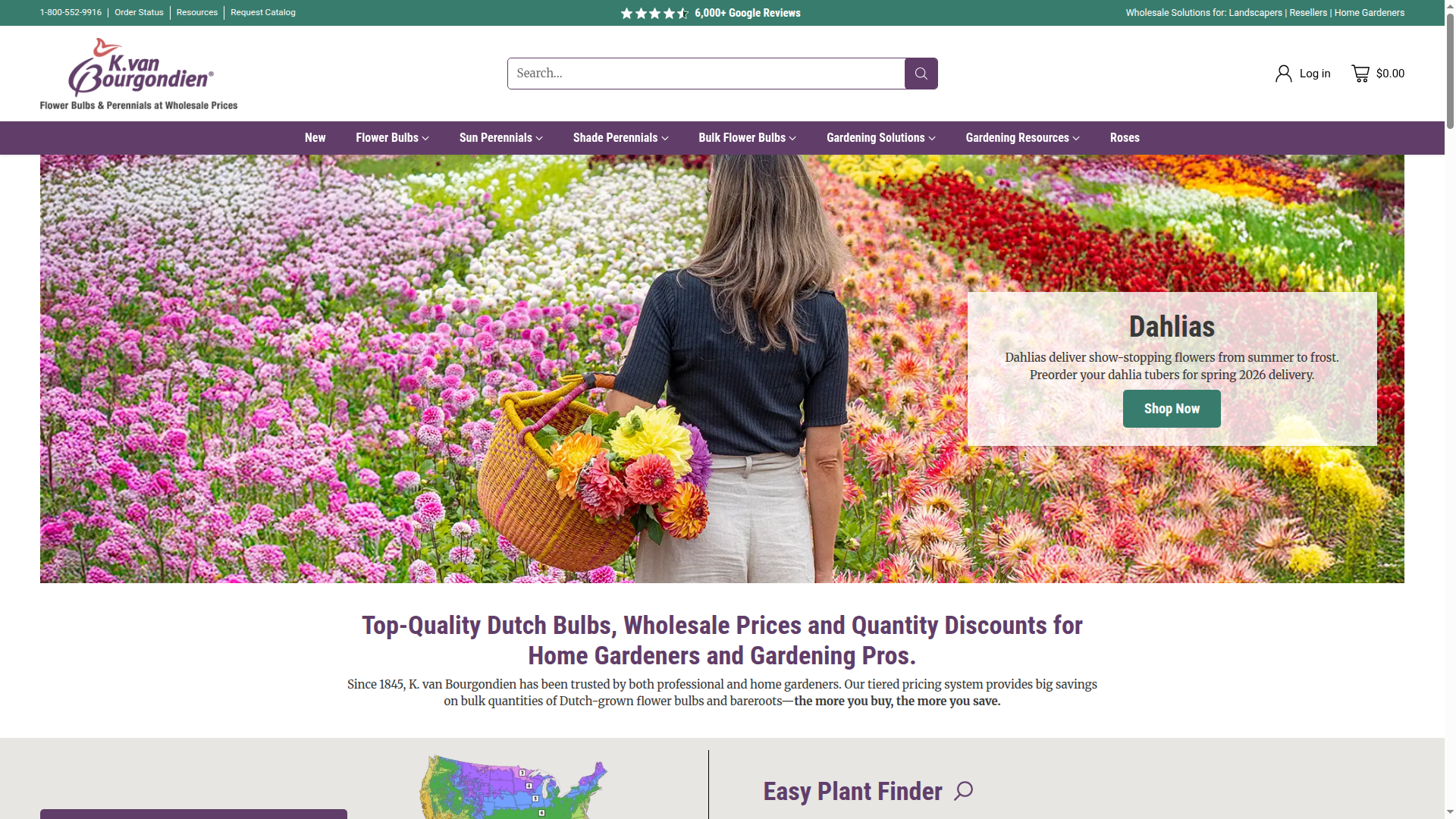 dutchbulbs.com website